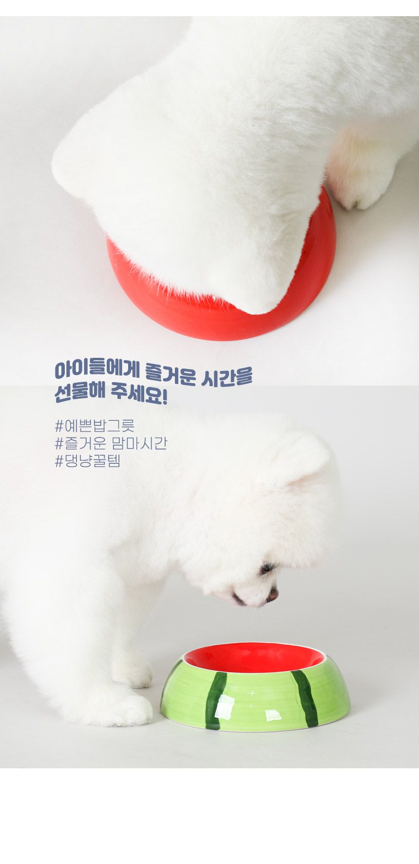 [무료배송] 초코펫하우스 후르츠볼 식기 오렌지/자몽/키위/수박 3번째