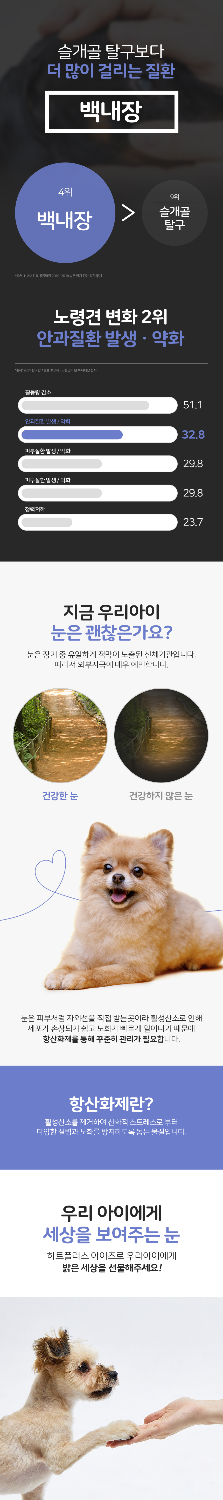 [무료배송] 리스펫 독 하트플러스 아이즈 160g 1번째