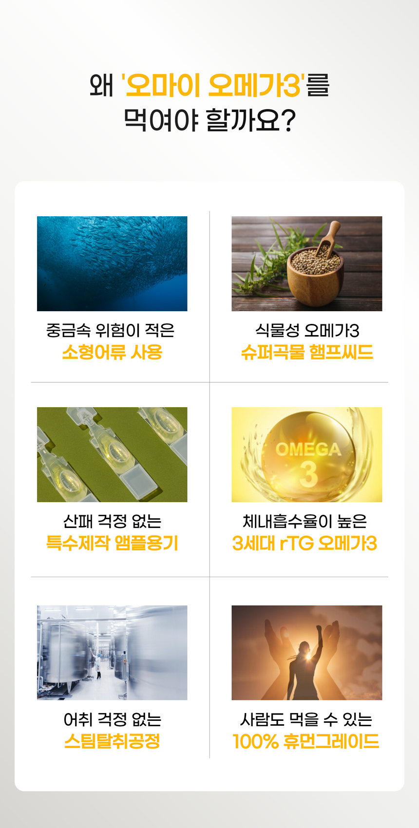 [창고대방출] 펫턴 오마이 오메가3 2ml*30본 4번째