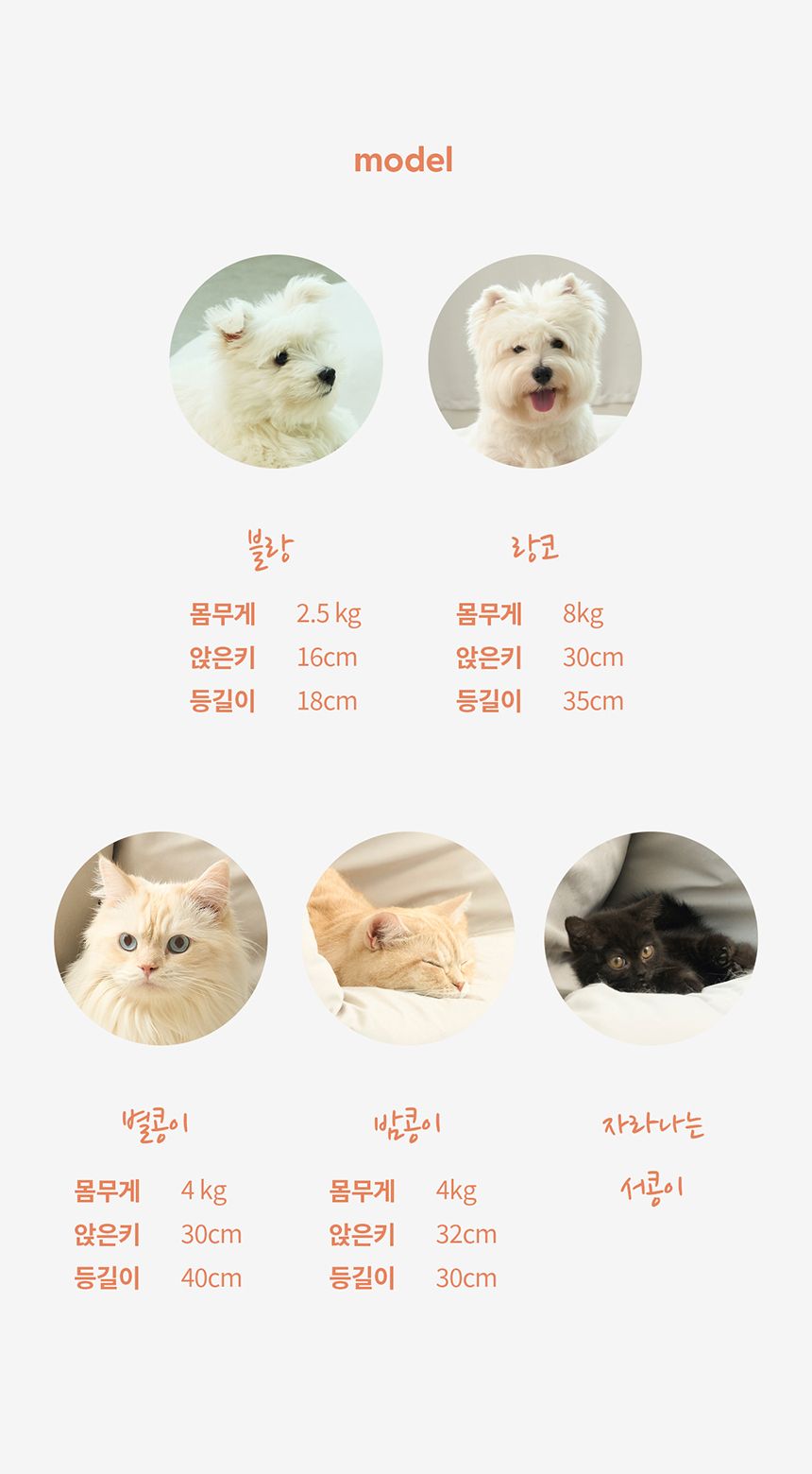 [NEW신상][무료배송] 두잇 딤섬쿠션 15번째