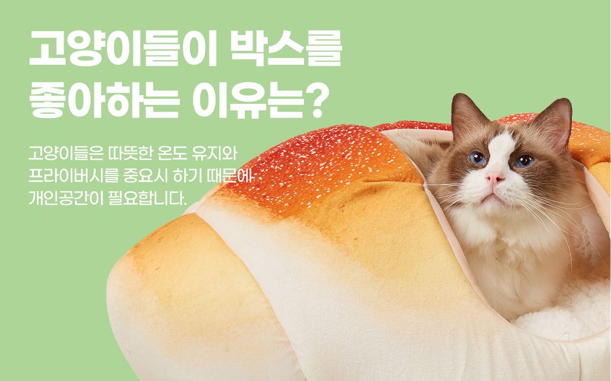 [무료배송] 포포스 에그토스트 굽냥 하우스 40번째
