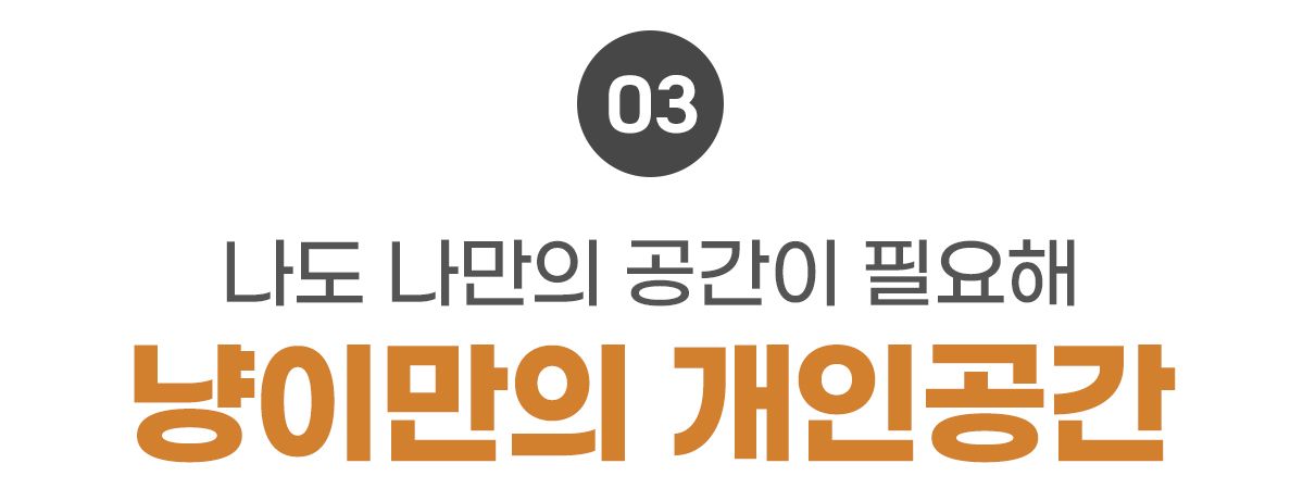 [무료배송] 포포스 에그토스트 굽냥 하우스 37번째
