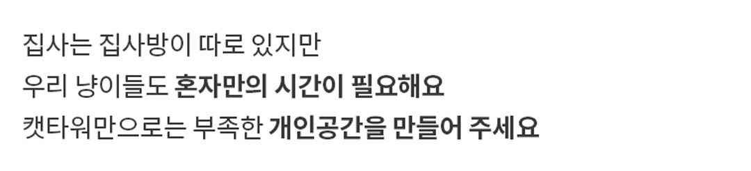 [무료배송] 포포스 에그토스트 굽냥 하우스 38번째