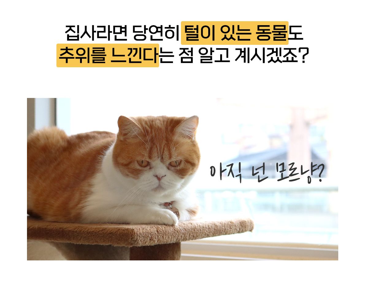 [무료배송] 포포스 에그토스트 굽냥 하우스 4번째