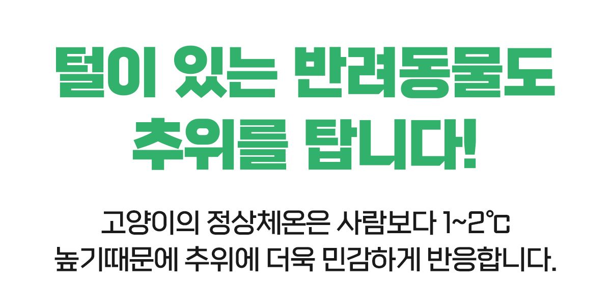 [무료배송] 포포스 에그토스트 굽냥 하우스 5번째