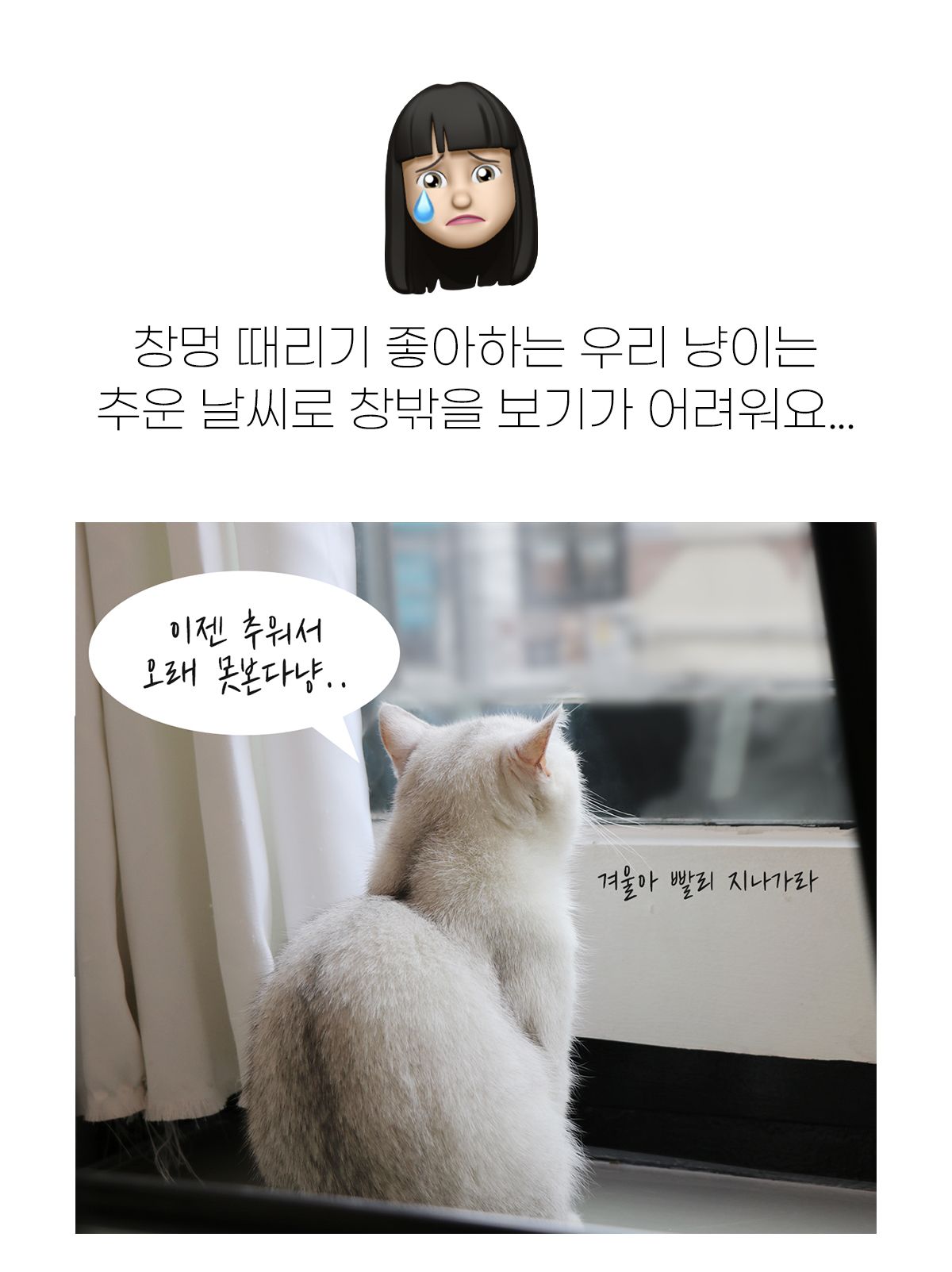 [무료배송] 포포스 에그토스트 굽냥 하우스 6번째
