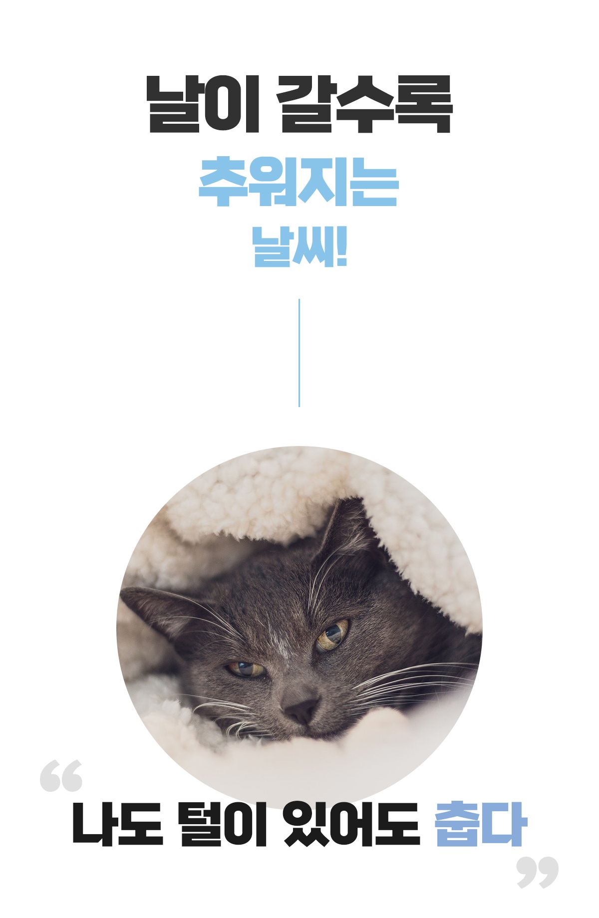 [무료배송] 포포스 에그토스트 굽냥 하우스 3번째