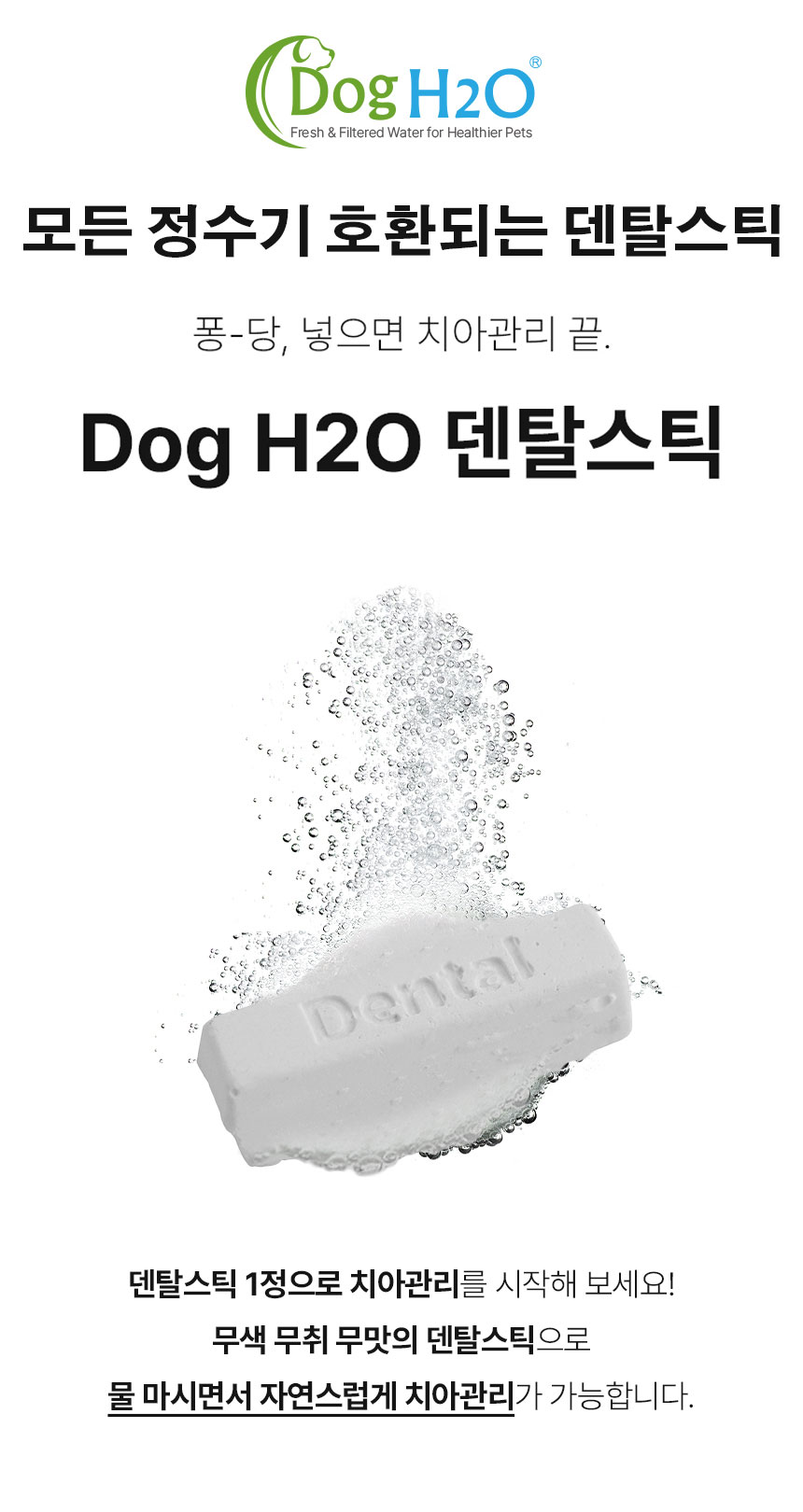 [무료배송] DogH2o 강아지 고양이 입냄새 치석제거 칫솔 구강케어 덴탈스틱 8매입 2번째