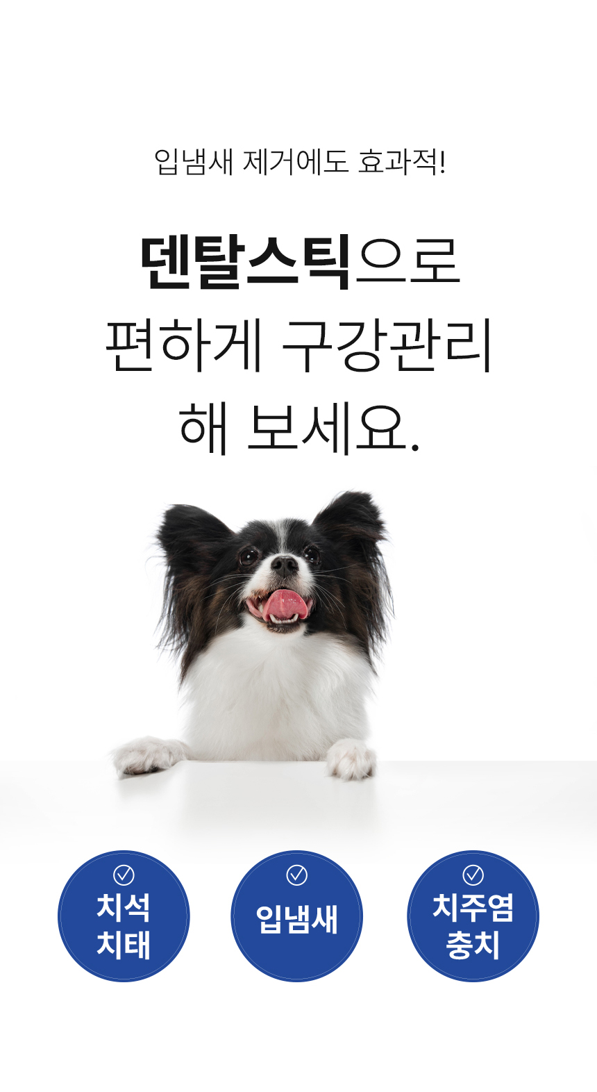 [무료배송] DogH2o 강아지 고양이 입냄새 치석제거 칫솔 구강케어 덴탈스틱 8매입 10번째