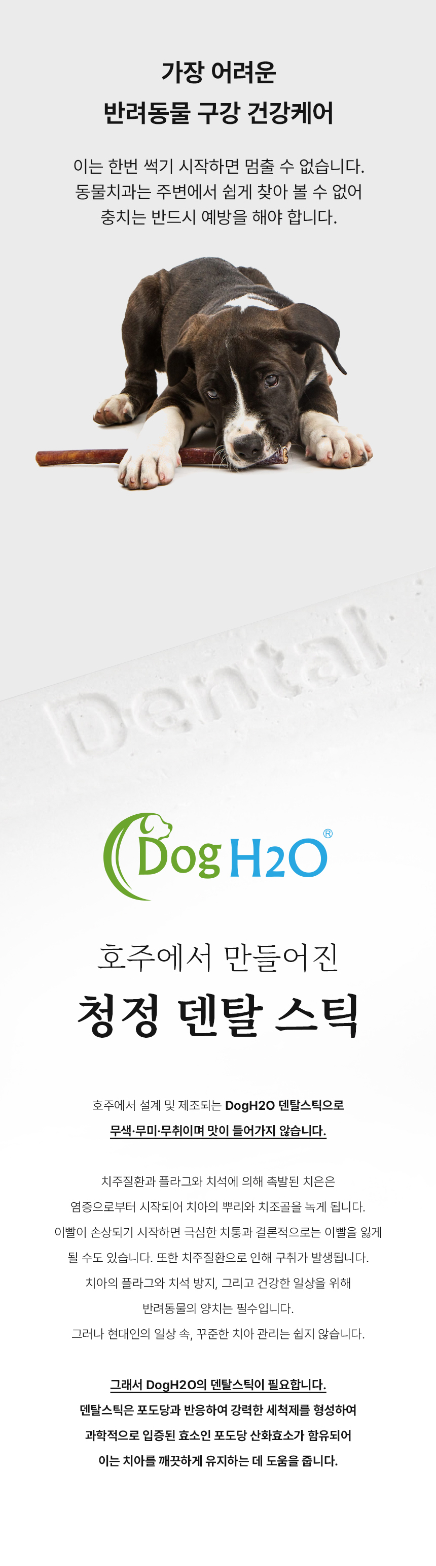 [무료배송] DogH2o 강아지 고양이 입냄새 치석제거 칫솔 구강케어 덴탈스틱 8매입 5번째
