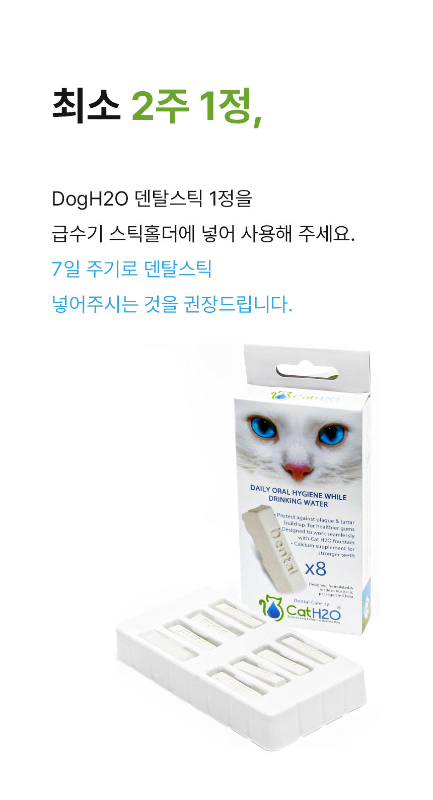 [무료배송] DogH2o 강아지 고양이 입냄새 치석제거 칫솔 구강케어 덴탈스틱 8매입 6번째
