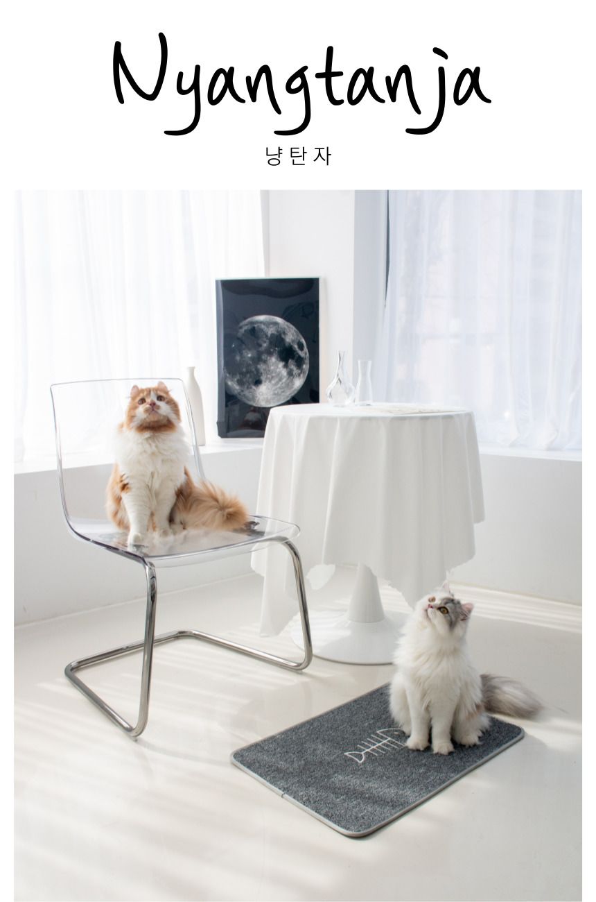 [무료배송] 베베네코 냥탄자 돌고래/데이지/생선뼈/식빵 1번째