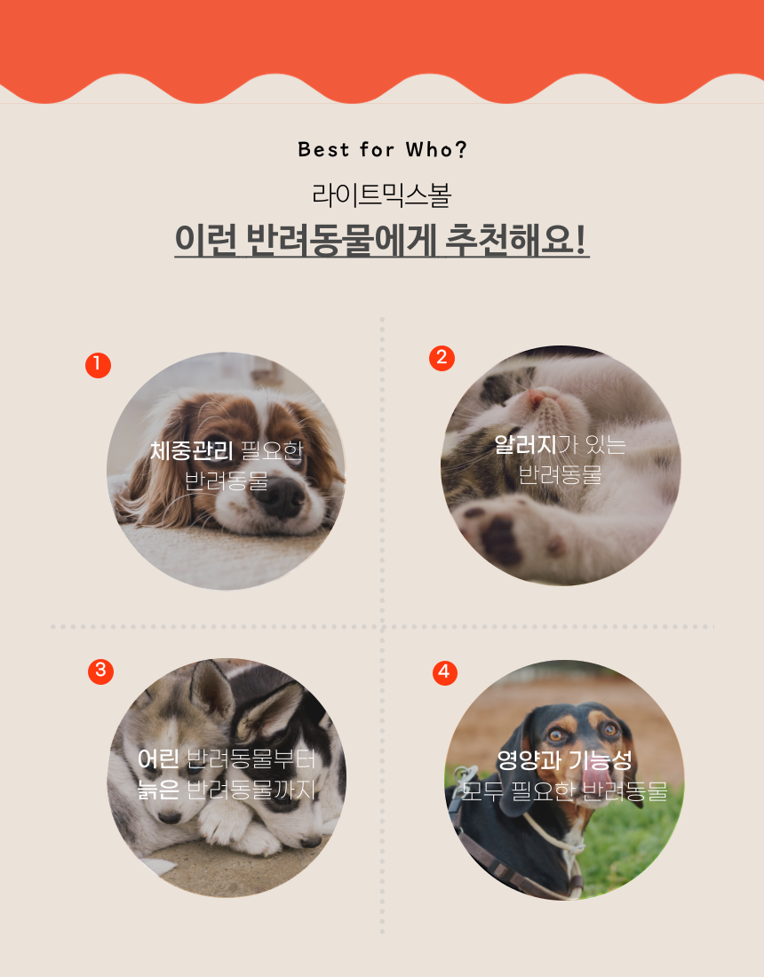 [무료배송] 옵티펫 라이트믹스볼 저칼로리 종합영양 간식40g 3번째