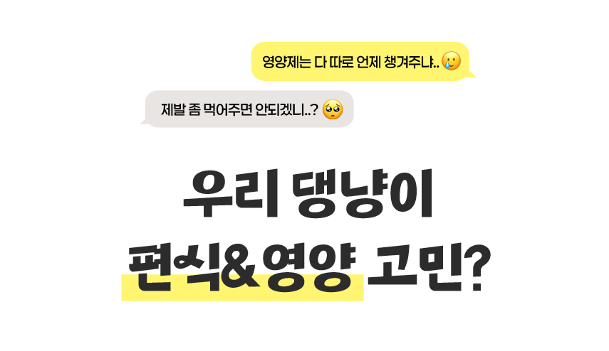 [체험단] 페네핏 팔레트파우더 샘플박스 4g*6p 1번째