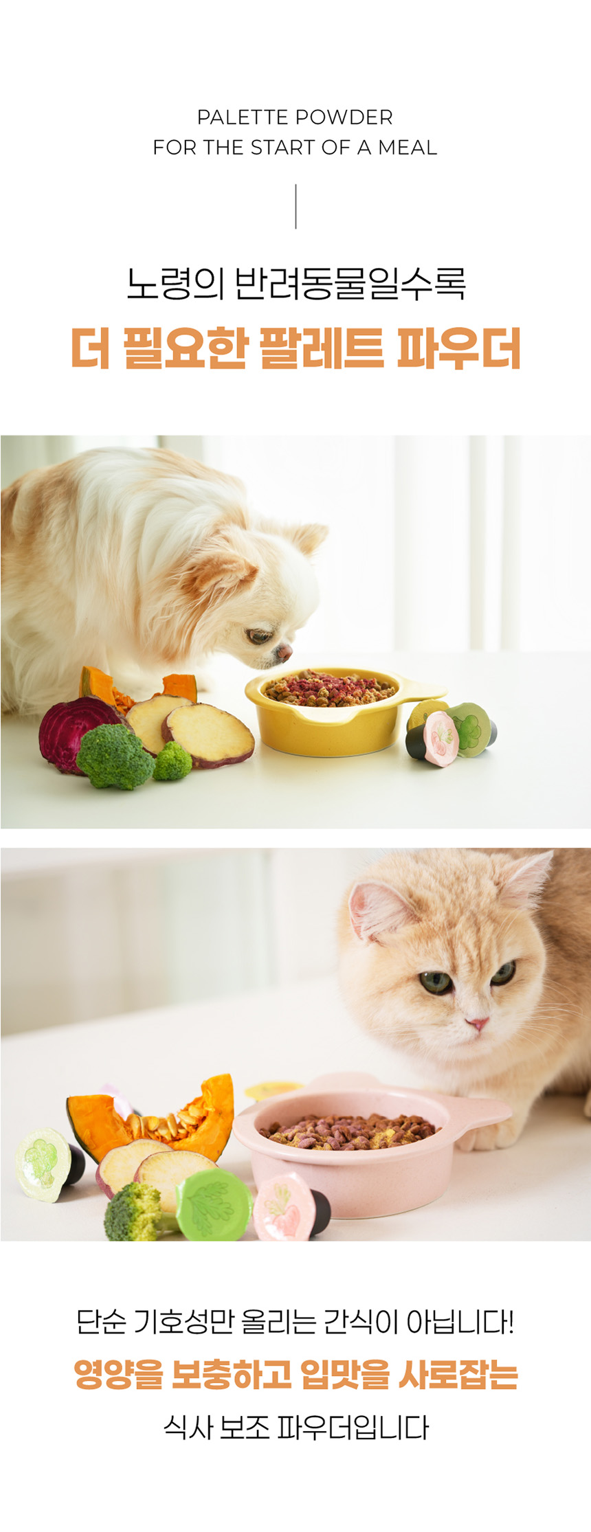 [체험단] 페네핏 팔레트파우더 샘플박스 4g*6p 10번째