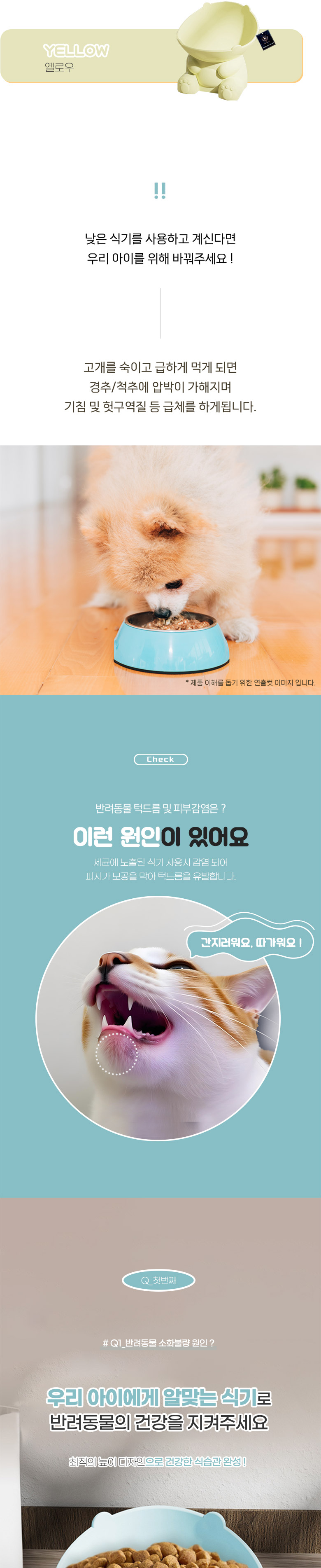 [NEW신상] [무료배송] 딩동펫 반려동물 대용량 공룡 경사형 식기 2P 세트 블루/옐로우 2번째
