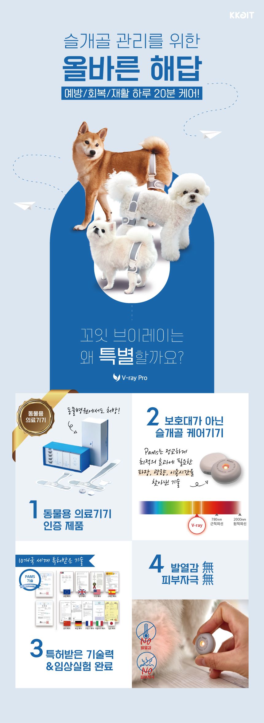 [무료배송] 꼬잇 독 슬개골 케어단자 1세트 (밴드 미포함)  1번째