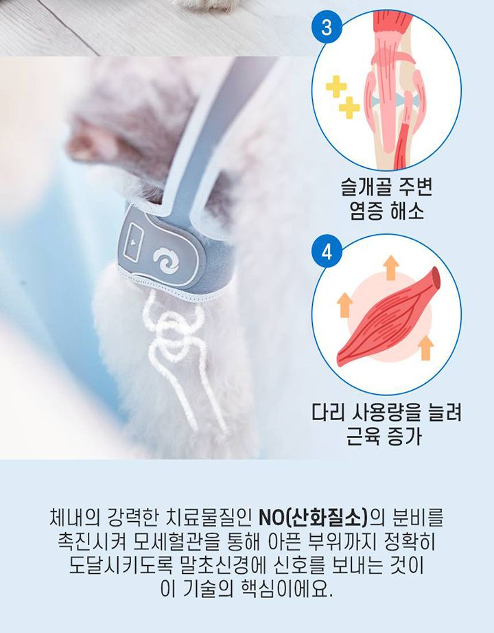 [무료배송] 꼬잇 독 슬개골 케어단자 1세트 (밴드 미포함)  18번째