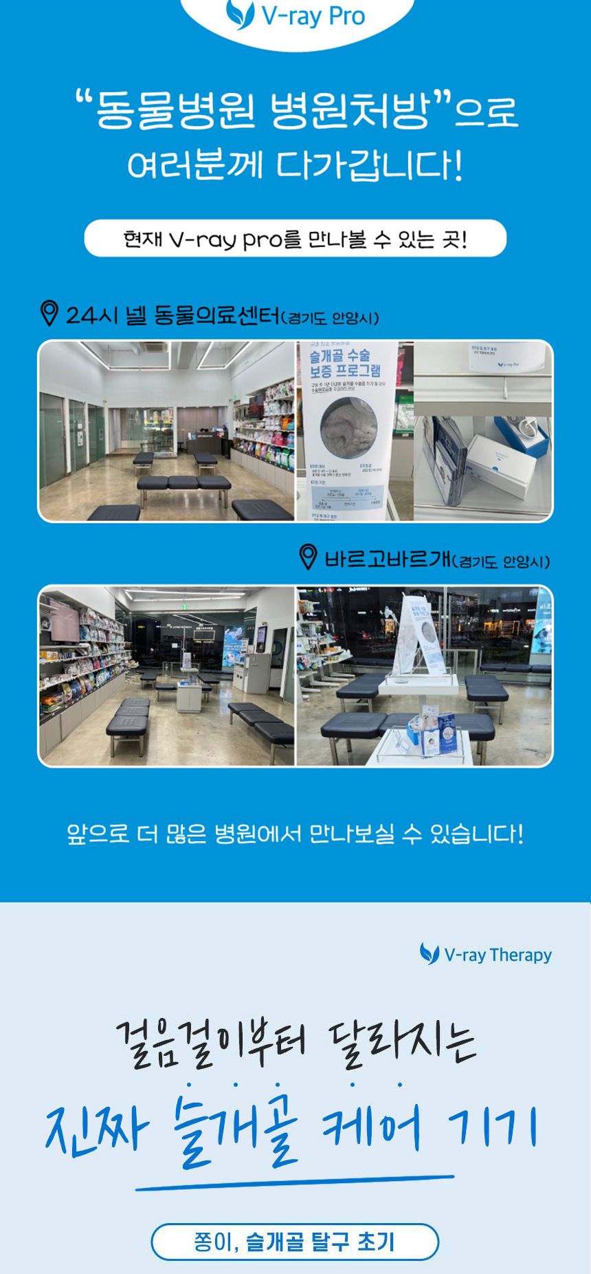 [무료배송] 꼬잇 독 슬개골 케어단자 1세트 (밴드 미포함)  2번째