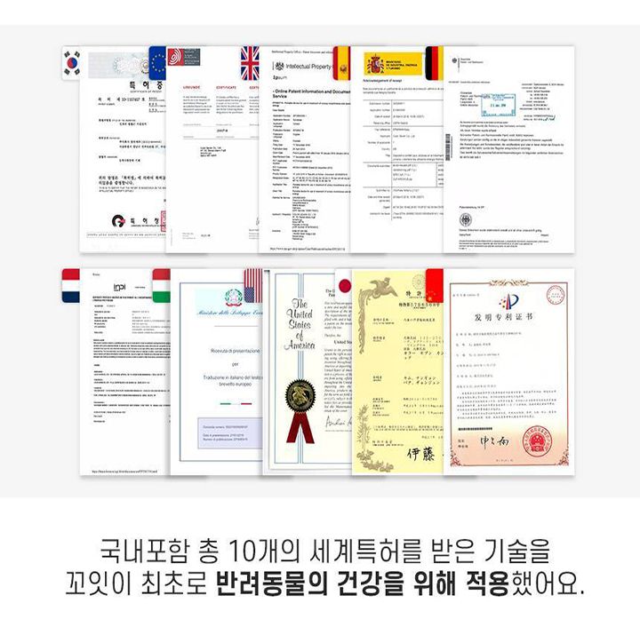 [무료배송] 꼬잇 독 슬개골 케어단자 1세트 (밴드 미포함)  22번째