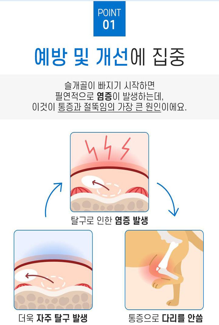 [무료배송] 꼬잇 독 슬개골 케어단자 1세트 (밴드 미포함)  13번째