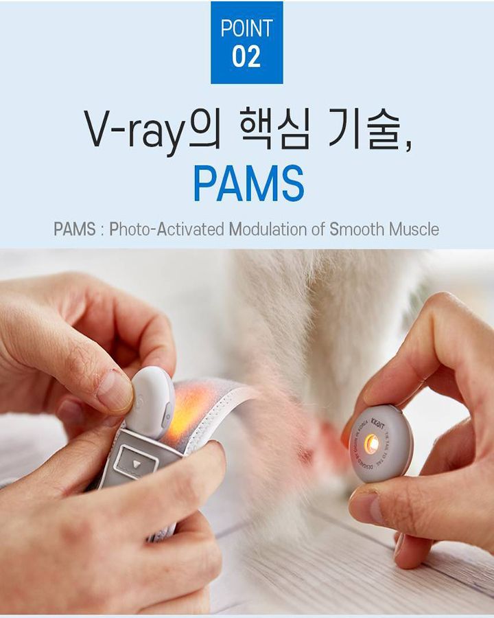 [무료배송] 꼬잇 독 슬개골 케어단자 1세트 (밴드 미포함)  16번째