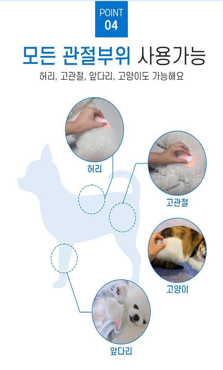 [무료배송] 꼬잇 독 슬개골 케어단자 1세트 (밴드 미포함)  25번째