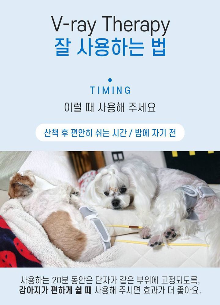 [무료배송] 꼬잇 독 슬개골 케어단자 1세트 (밴드 미포함)  30번째