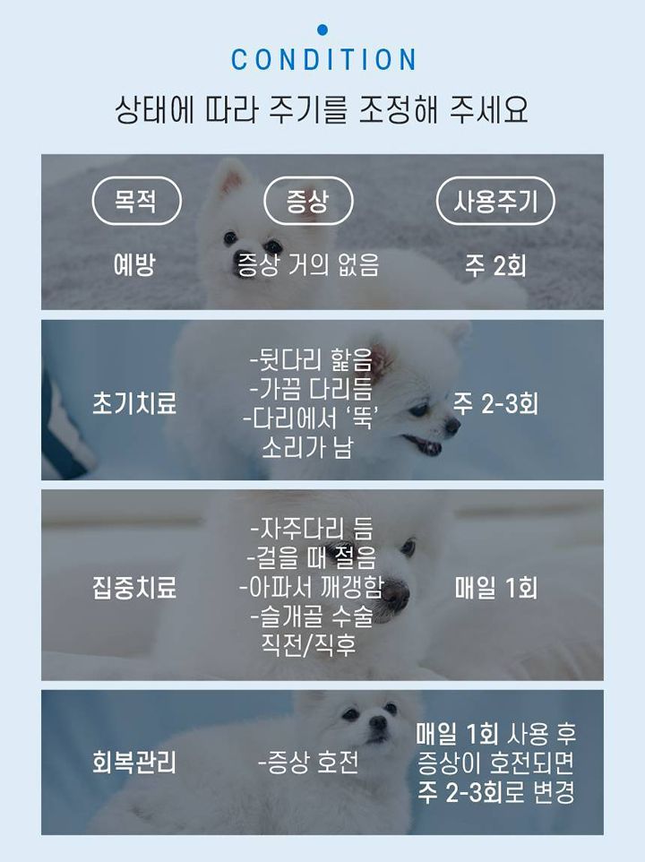 [무료배송] 꼬잇 독 슬개골 케어단자 1세트 (밴드 미포함)  31번째