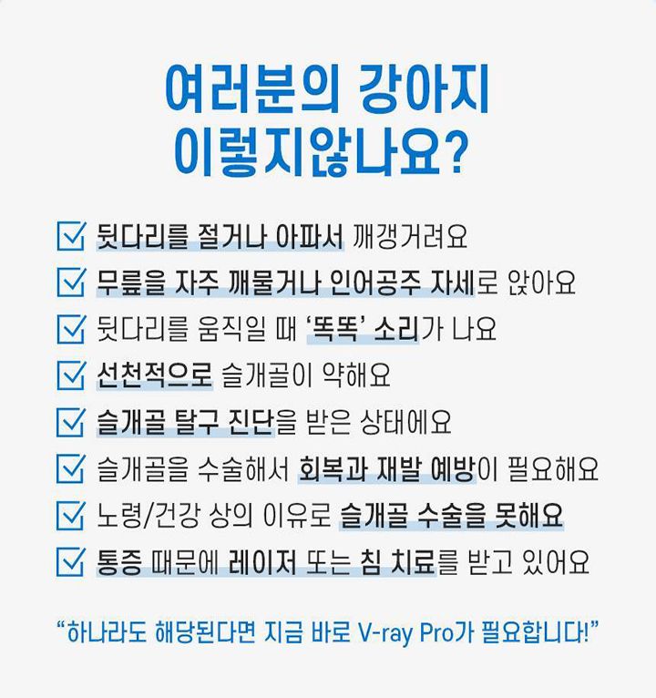 [무료배송] 꼬잇 독 슬개골 케어단자 1세트 (밴드 미포함)  9번째