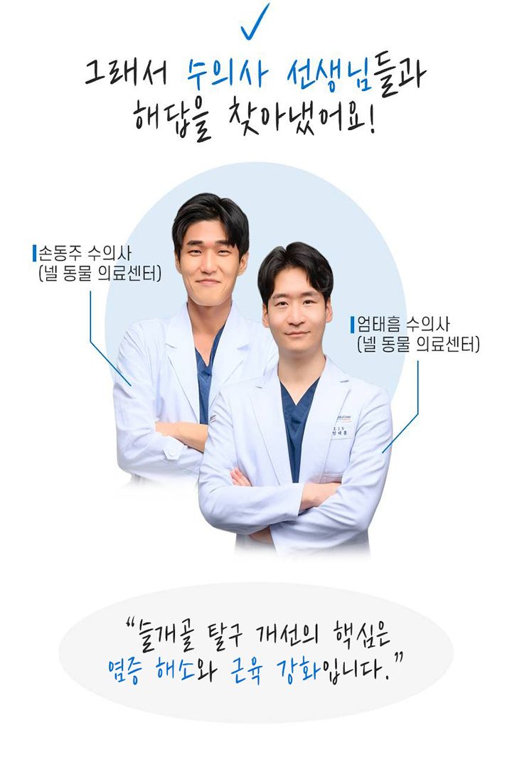 [무료배송] 꼬잇 독 슬개골 케어단자 1세트 (밴드 미포함)  15번째