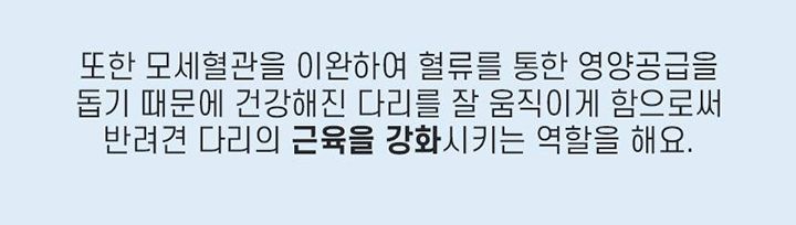 [무료배송] 꼬잇 독 슬개골 케어단자 1세트 (밴드 미포함)  20번째