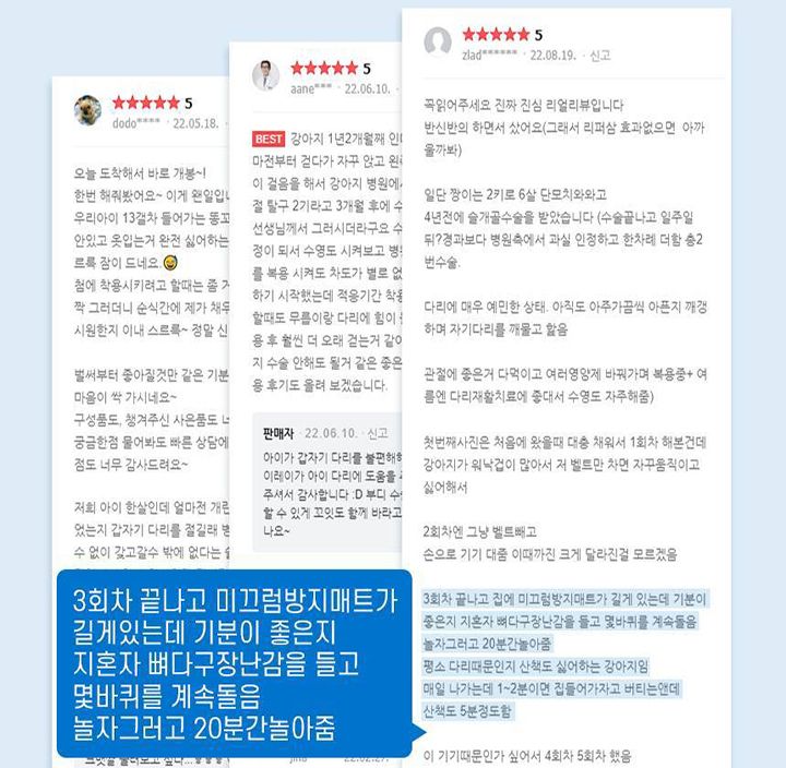 [무료배송] 꼬잇 독 슬개골 케어단자 1세트 (밴드 미포함)  27번째