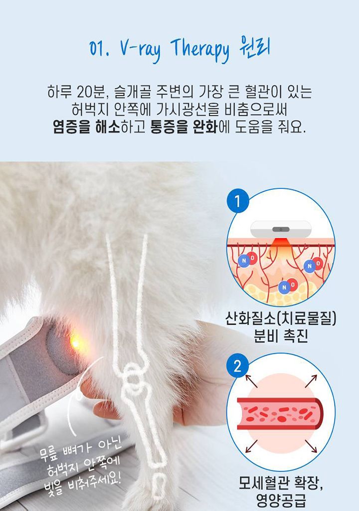 [무료배송] 꼬잇 독 슬개골 케어단자 1세트 (밴드 미포함)  17번째
