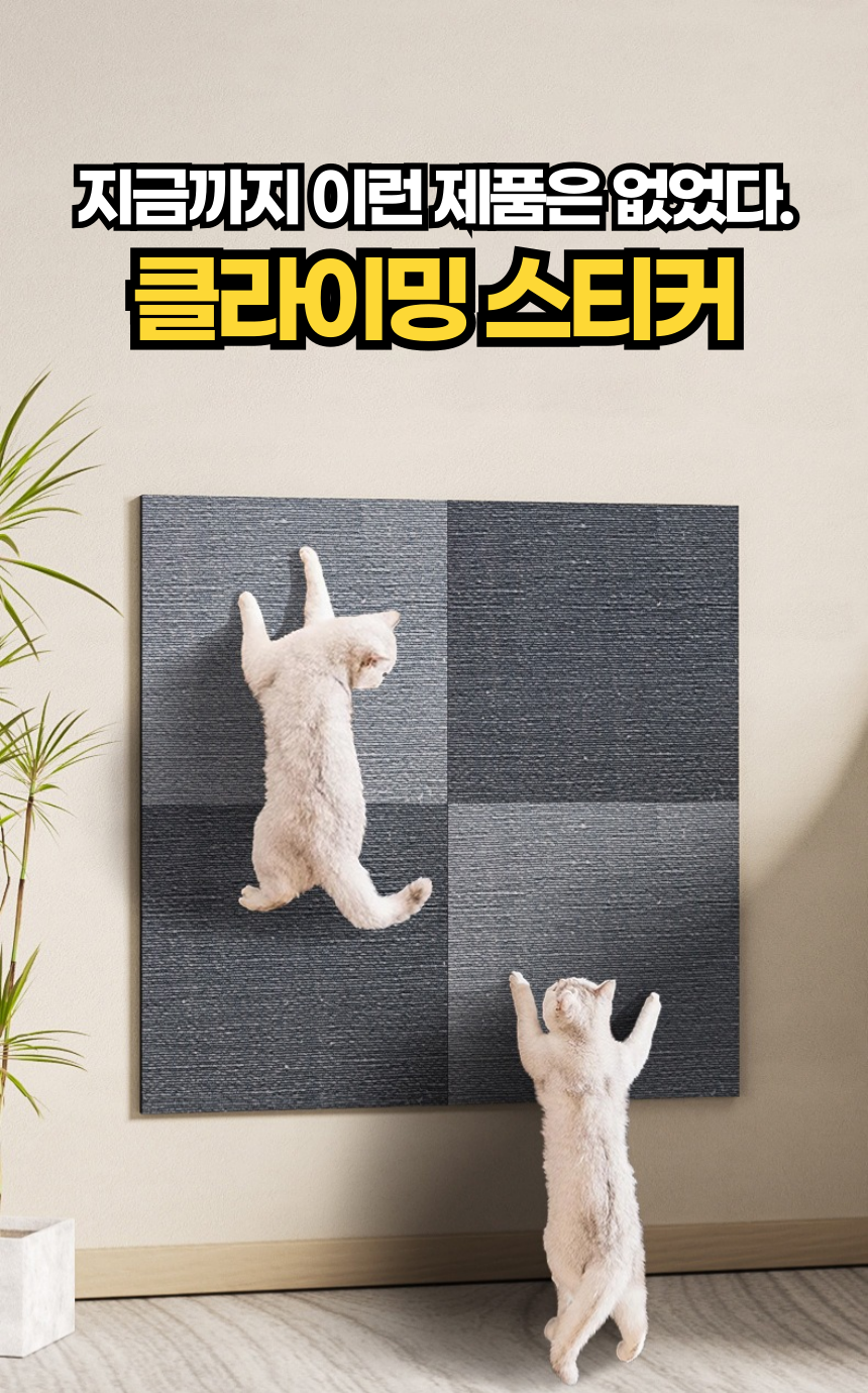 [무료배송] 펫볼루션 고양이벽타기 스크래쳐부착형 30x30cm 1번째