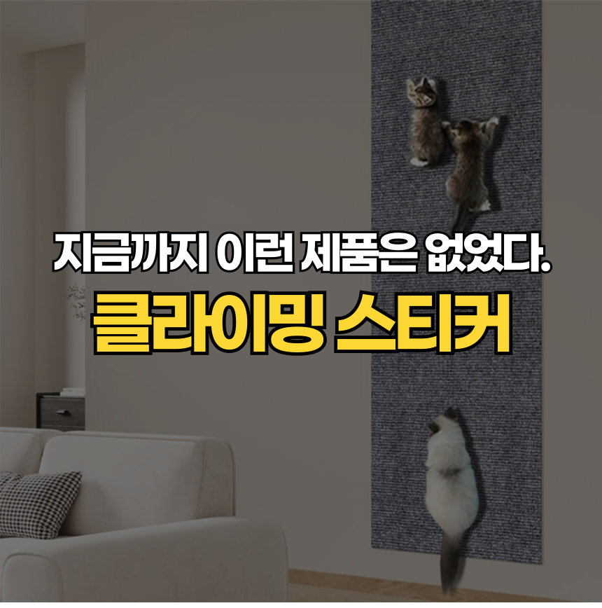 [무료배송] 펫볼루션 고양이벽타기 스크래쳐부착형 30x30cm 1번째