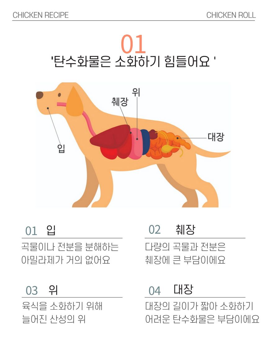 [무료배송][3개] 엘리야 치킨롤 껌 1p 5번째