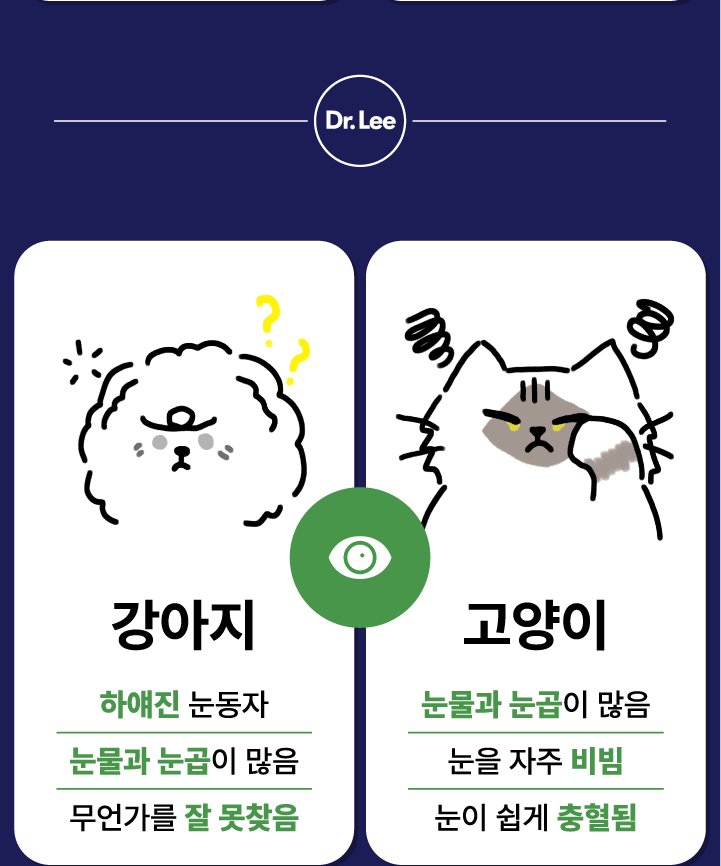 [NEW신상][무료배송] 닥터리 프리미엄 영양제 눈 건강 30캡슐 2번째