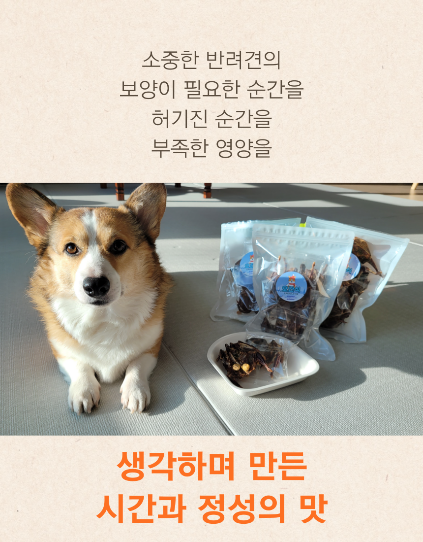 [무료배송] [냉동/냉장] 오간식 독 알메추리 10p 2번째