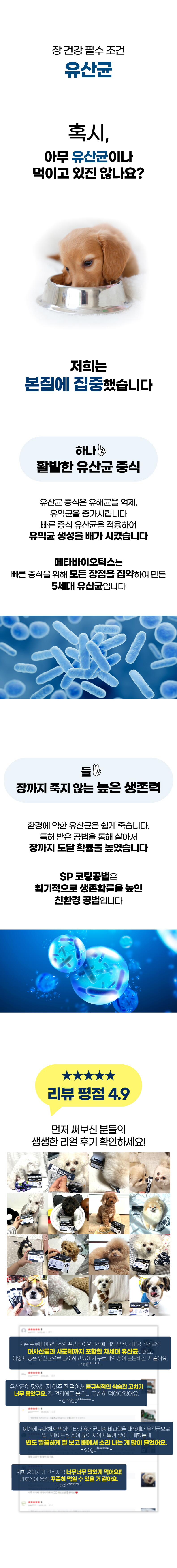 [브랜드전][무료배송] 벨라맥스 SBS TV 동물농장 유산균 강아지 장 건강 면역력 영양제 60g 2번째