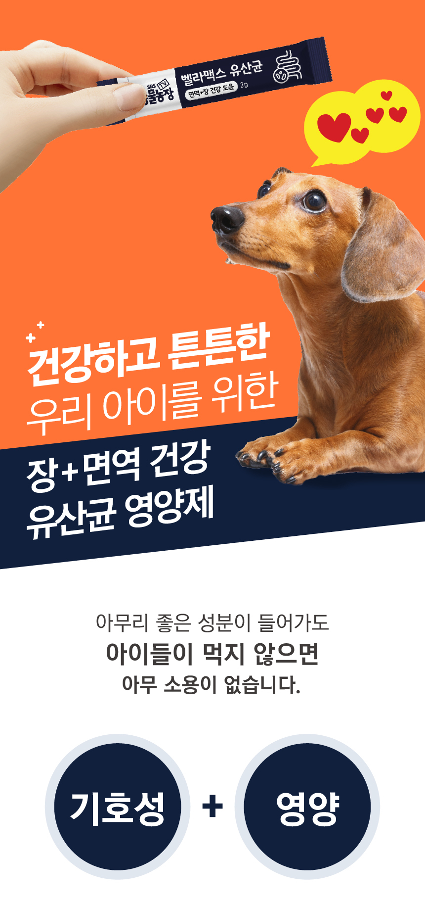 [무료배송] 벨라맥스 SBS TV 동물농장 유산균 강아지 장 건강 면역력 영양제 60g 9번째