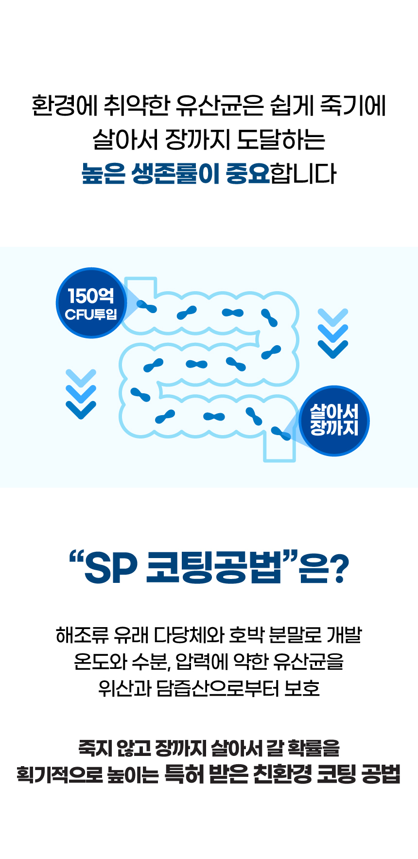 [브랜드전][무료배송] 벨라맥스 SBS TV 동물농장 유산균 강아지 장 건강 면역력 영양제 60g 8번째