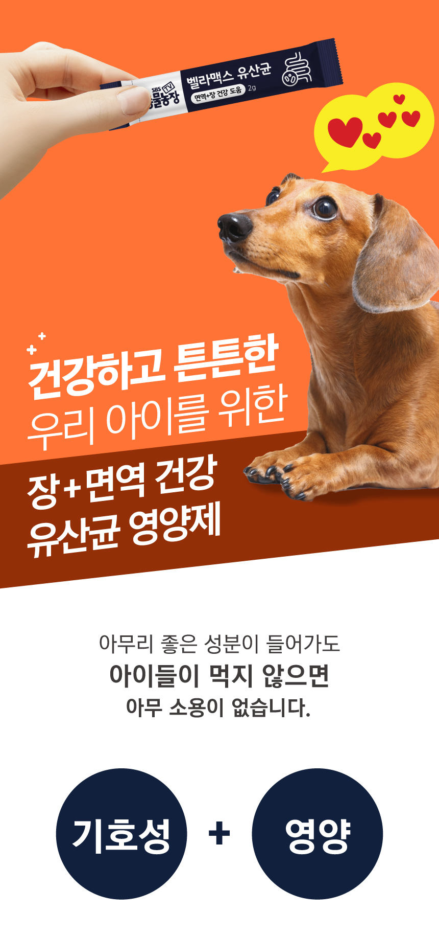 [브랜드전][무료배송] 벨라맥스 SBS TV 동물농장 유산균 강아지 장 건강 면역력 영양제 60g 15번째
