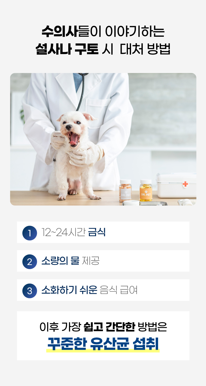 [브랜드전][무료배송] 벨라맥스 SBS TV 동물농장 유산균 강아지 장 건강 면역력 영양제 60g 5번째