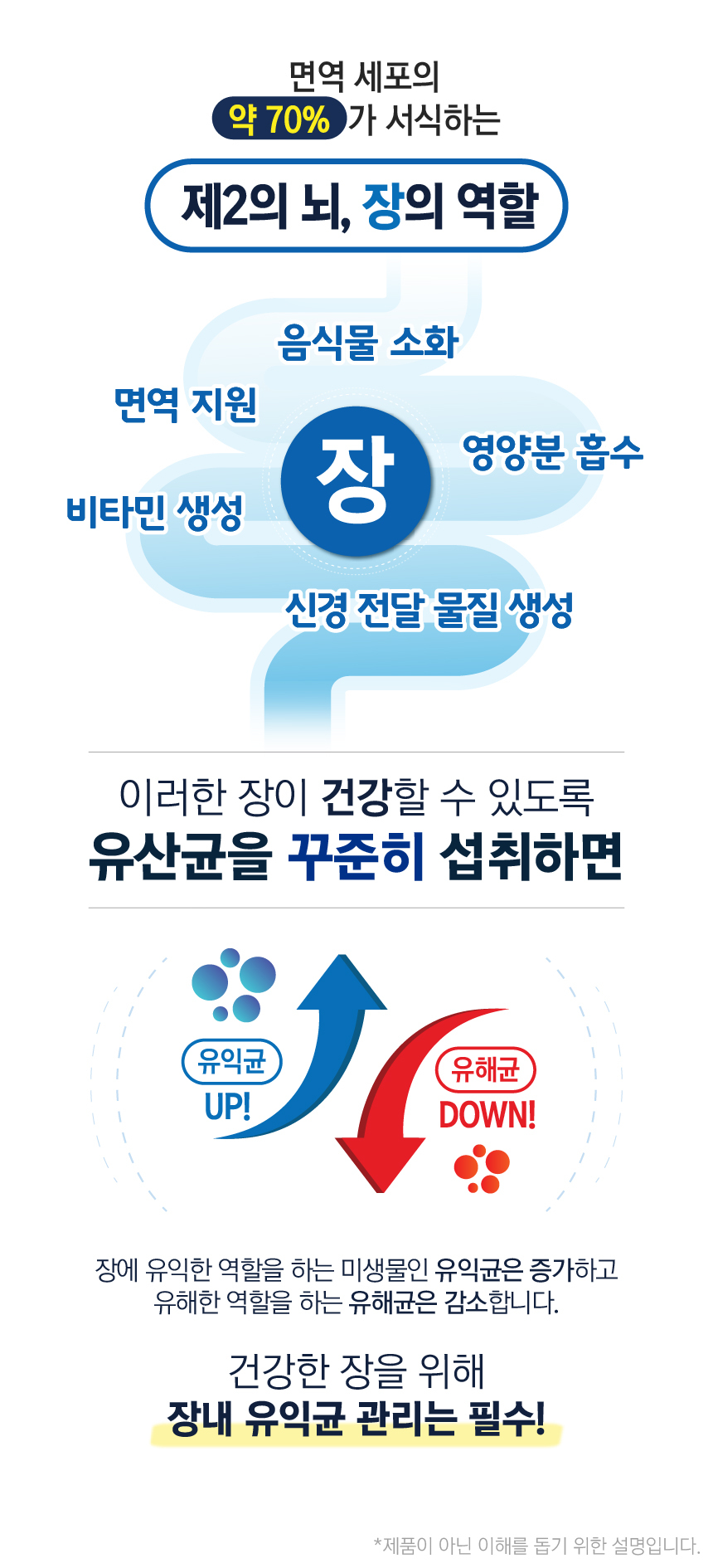 [무료배송] 벨라맥스 SBS TV 동물농장 유산균 강아지 장 건강 면역력 영양제 60g 3번째