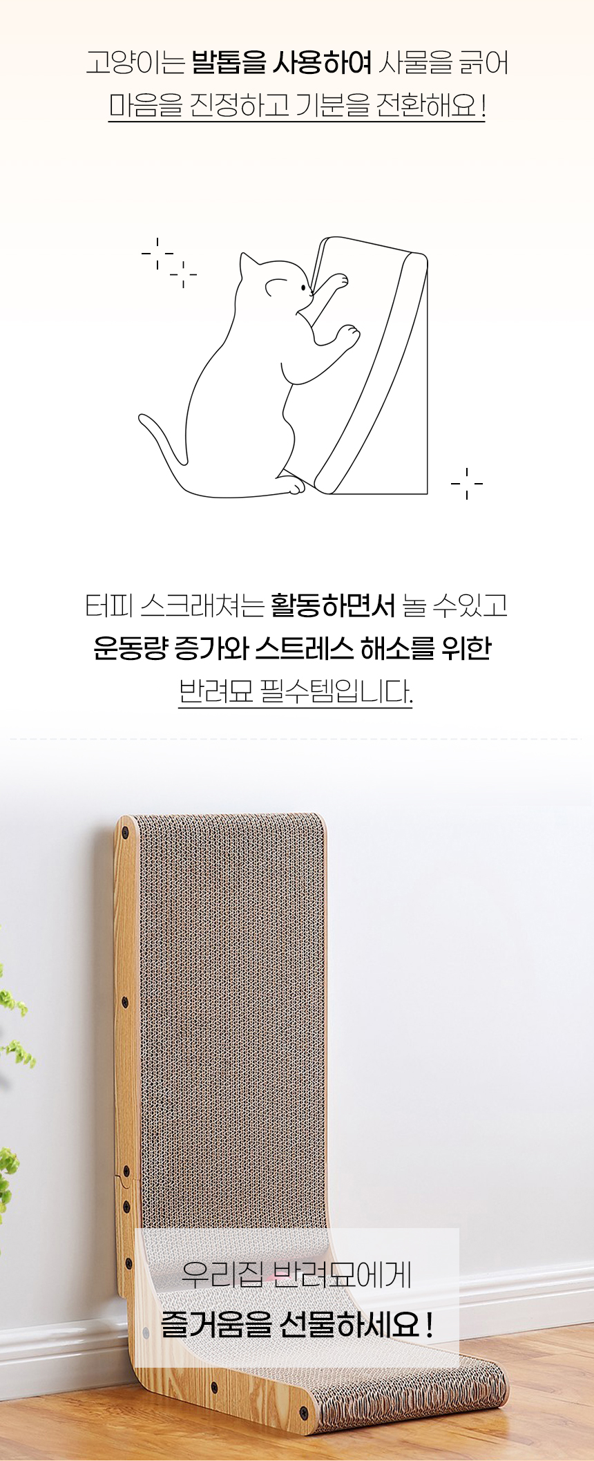 [럭키세일][무료배송] 개과천선 캣 터피 스크래쳐 2번째