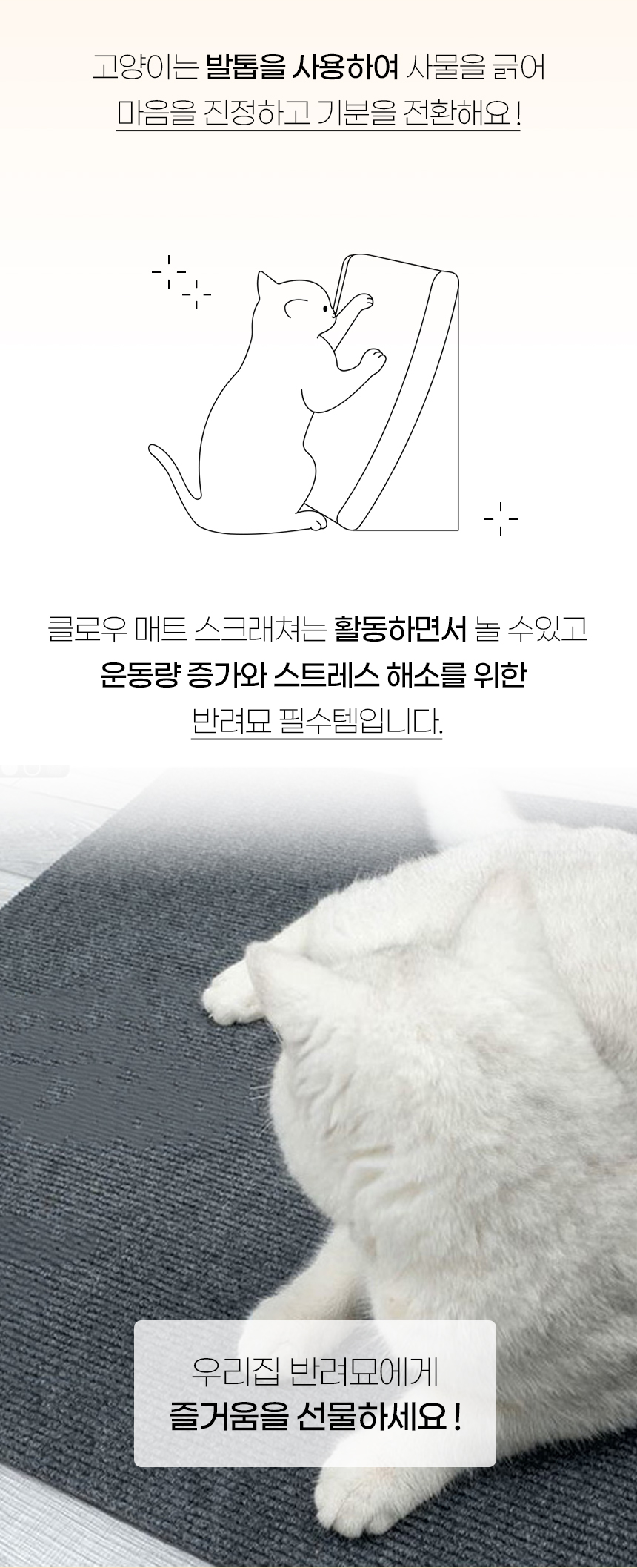 [NEW신상][무료배송] [2개] 개과천선 캣 클로우 매트 스크래쳐 2번째