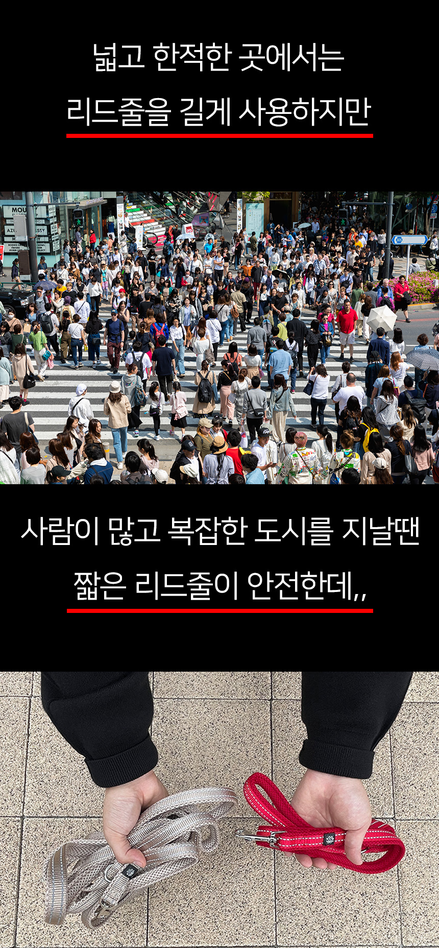 [무료배송] 멍템 폴딩 리드줄 90cm-180cm 기본고리 베이지/레드/핑크/오렌지/그린/블루/블랙 7번째