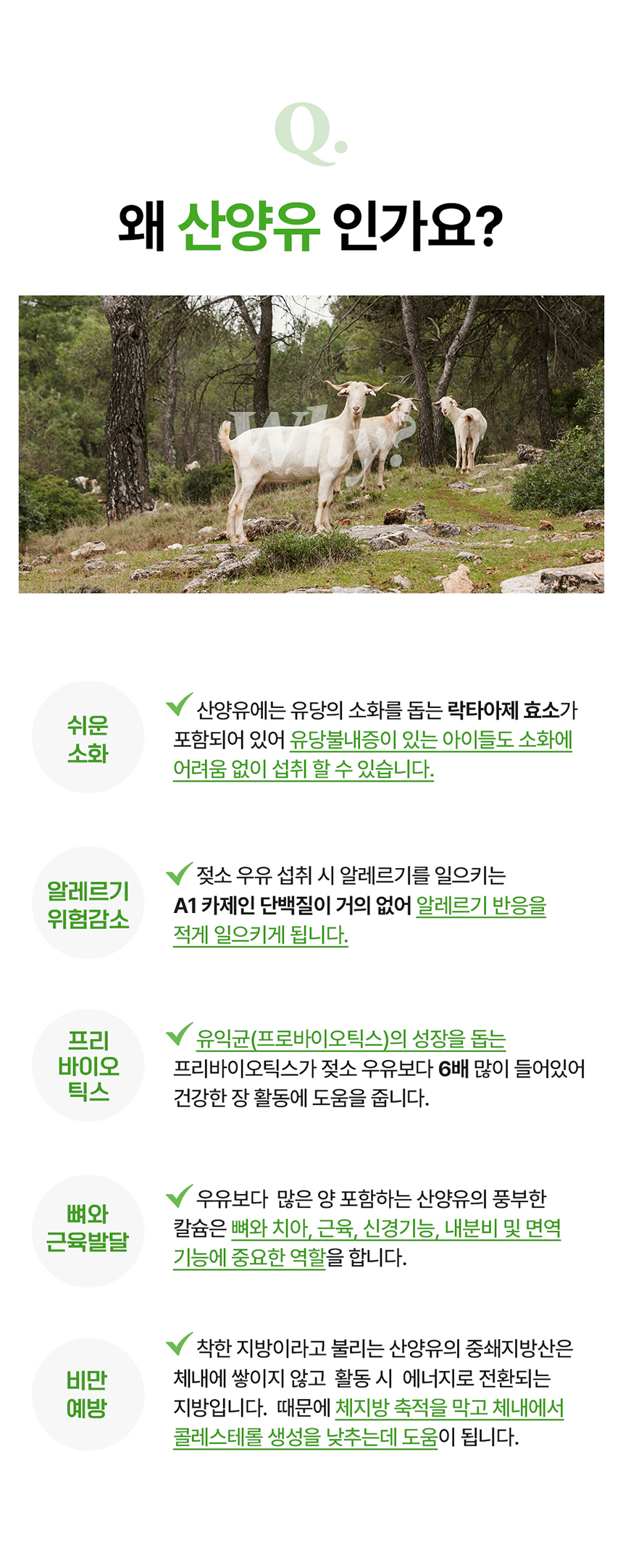 [무료배송] 라잇띵크펫 오리지널 산양유 동결건조 트릿 3종 세트 (오리지널+딸기+블루베리) 10번째