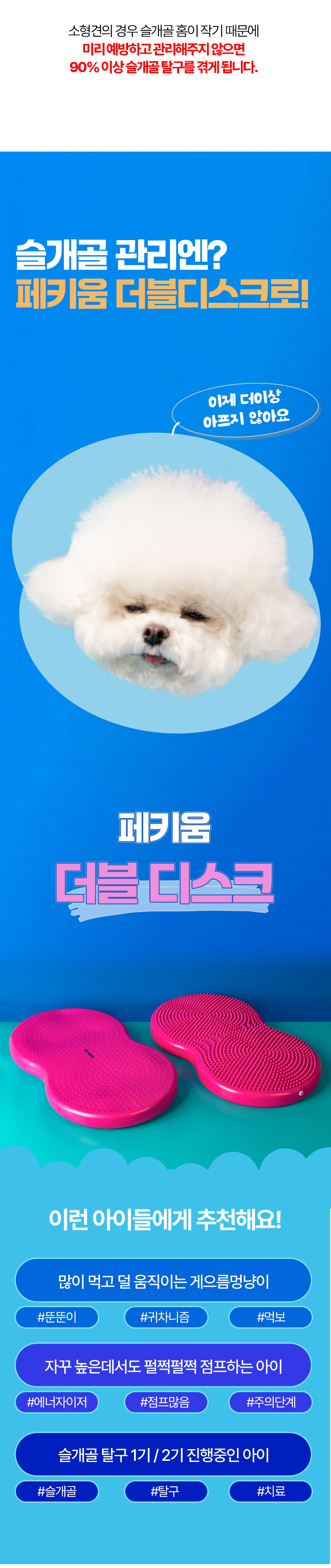 [NEW신상][무료배송] 페키움 강아지 더블디스크 밸런스 짐볼 6번째